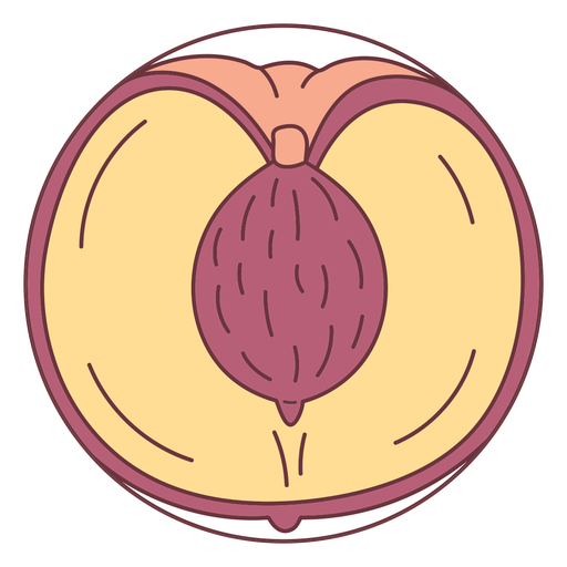 Fruit sliced peach illustration