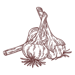 Alho vegetal desenhado à mão Desenho PNG