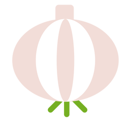 Cebola plana Desenho PNG