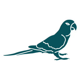 Pássaro papagaio periquito Desenho PNG