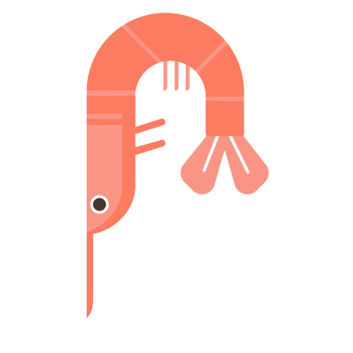 Shrimp animal flat