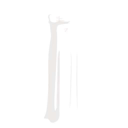 Weiße Brautkleid-Brautillustration PNG-Design