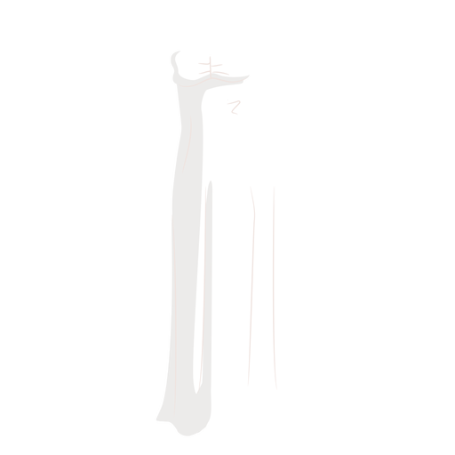 White wedding dress bride illustration PNG Design