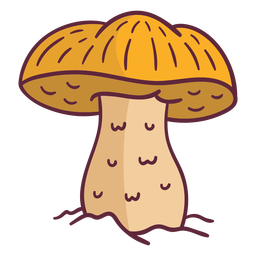 Ilustración de hongo seta césar Diseño PNG