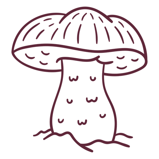 Caesar mushroom fungus stroke PNG Design