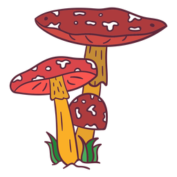 Cogumelo Amanita muscaria, casa de cogumelo, pintado, chapéu, mão png