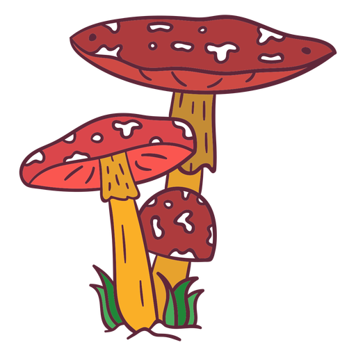 Amanita muscaria mushroom illustration