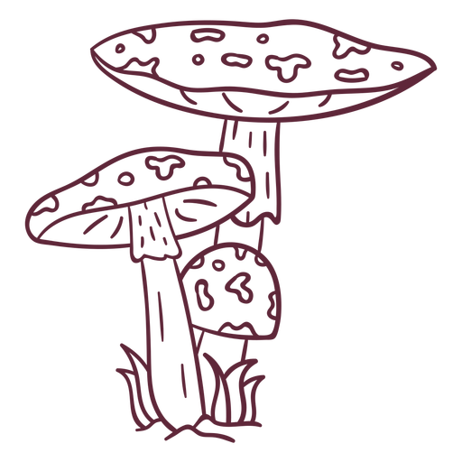 Amanita muscaria mushroom stroke PNG Design