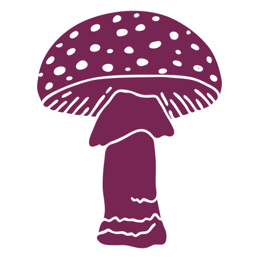 Amanita mushroom fungus PNG Design