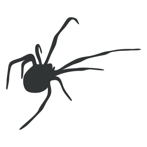 Silhueta animal da aranha aracn?deo Desenho PNG