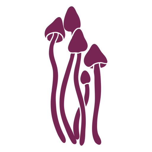 Armilaria mellea fungi silhouette