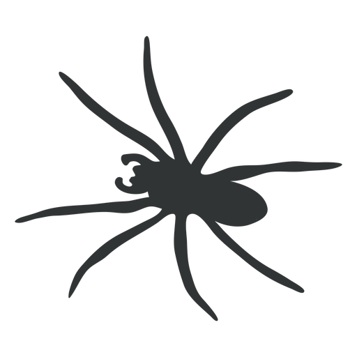 Big Spider Arachnid Silhouette Transparent Png Svg Vector File