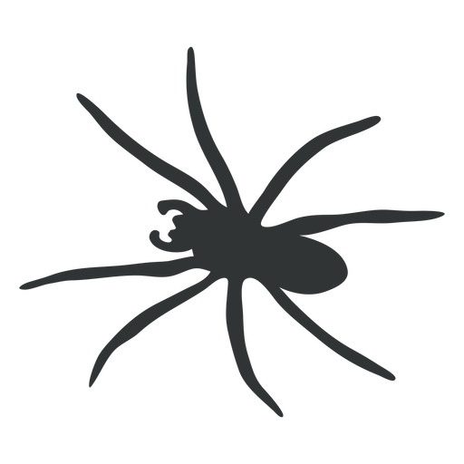 Big spider arachnid silhouette