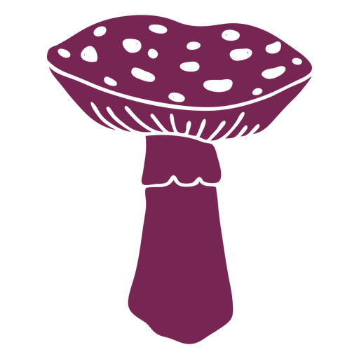 Fungus amanita mushroom PNG Design