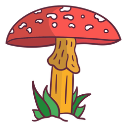 Ilustração de cogumelo Fungus amanita