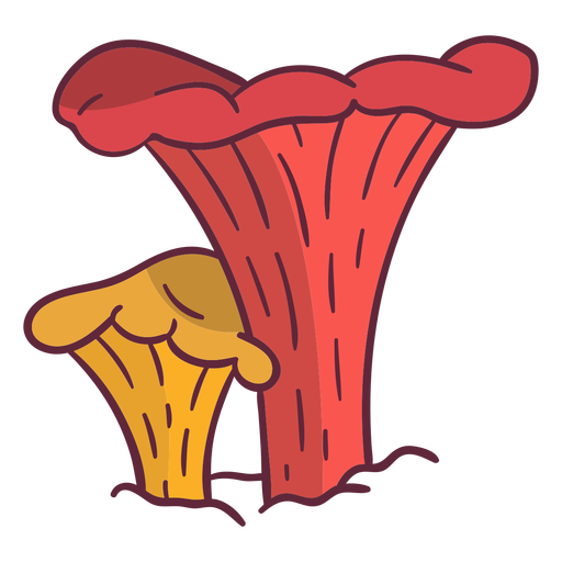 Fungus chanterelle illustration