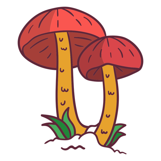 Ilustración de amanita de mosca de hongo Diseño PNG