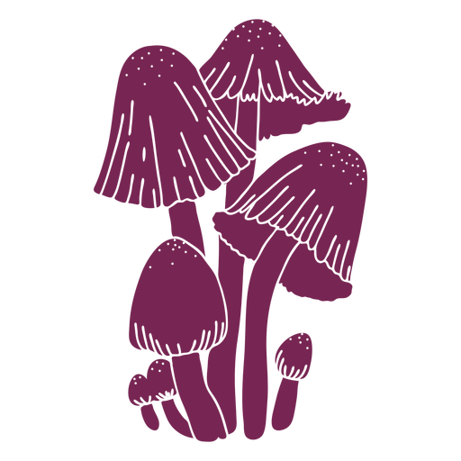 Grupo de cogumelos fungos Desenho PNG
