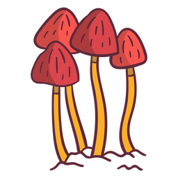 Ilustração de cogumelos fungo