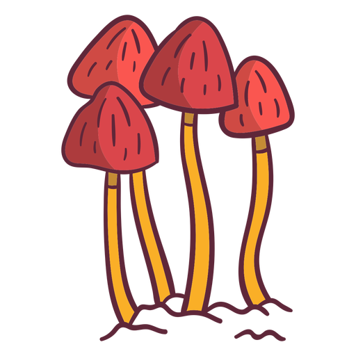 Fungus mushrooms illustration