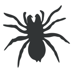 Silhueta da aranha tarântula Golias Desenho PNG Transparent PNG