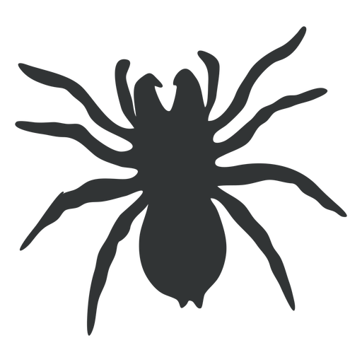 Silueta de araña tarántula goliat Diseño PNG