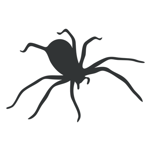 House spider arachnid silhouette PNG Design