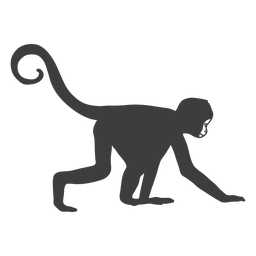Mono animal arrastrándose Transparent PNG