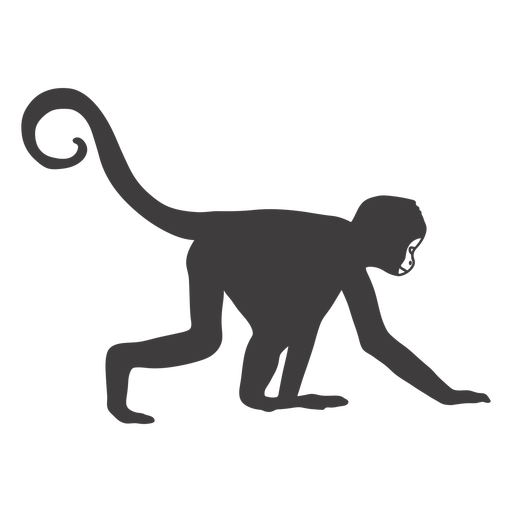 Animal rastejante de macaco Desenho PNG
