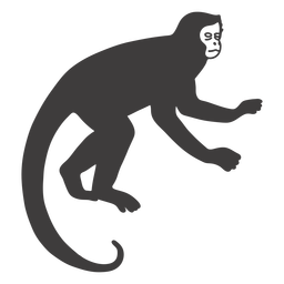 Monkey mammal animal PNG Design