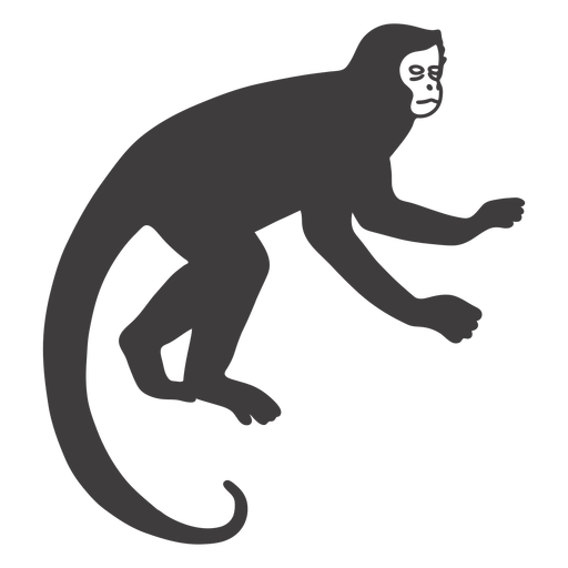 Animal macaco mam?fero Desenho PNG