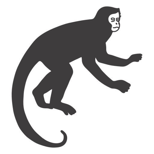 Design PNG E SVG De Desenho De Ramo De Cauda De Macaco-prego Para Camisetas