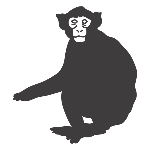 Monkey sitting animal PNG Design