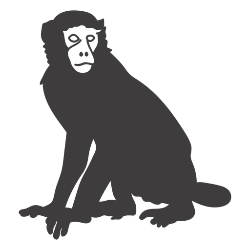 Macaco ainda animal Desenho PNG