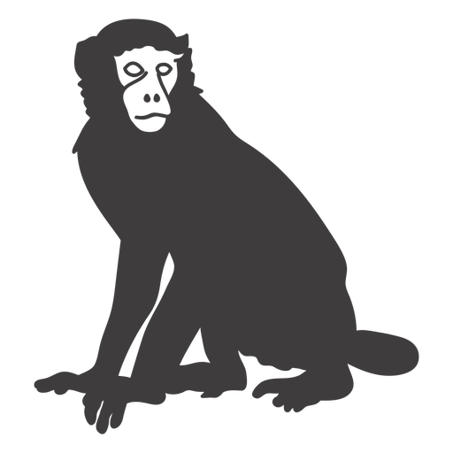 Mono todav?a animal Diseño PNG