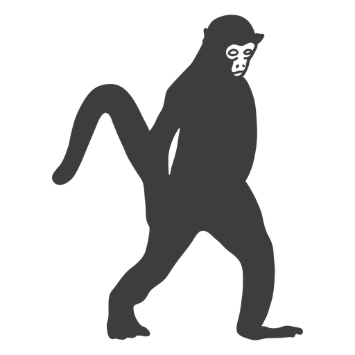 Monkey walking animal PNG Design