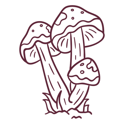 Mushroom amanita caesarea stroke PNG Design