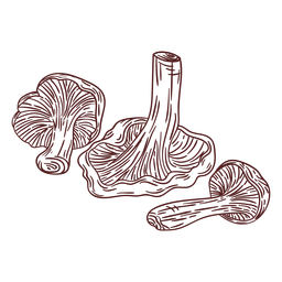 Cogumelo alimentar de fungos desenhados à mão Desenho PNG