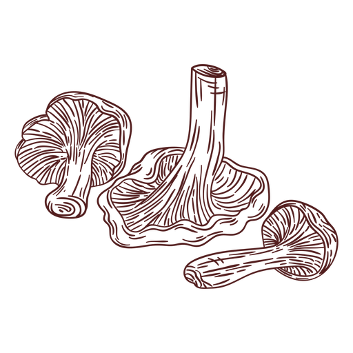 Pilznahrungspilze Hand gezeichnet PNG-Design