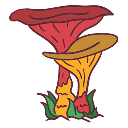 Ilustração de fungo cogumelo ostra Desenho PNG