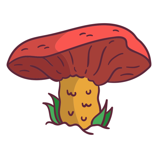 Russula mushroom illustration PNG Design