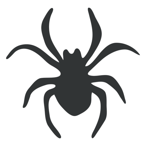 Spider animal arachnid gray silhouette PNG Design
