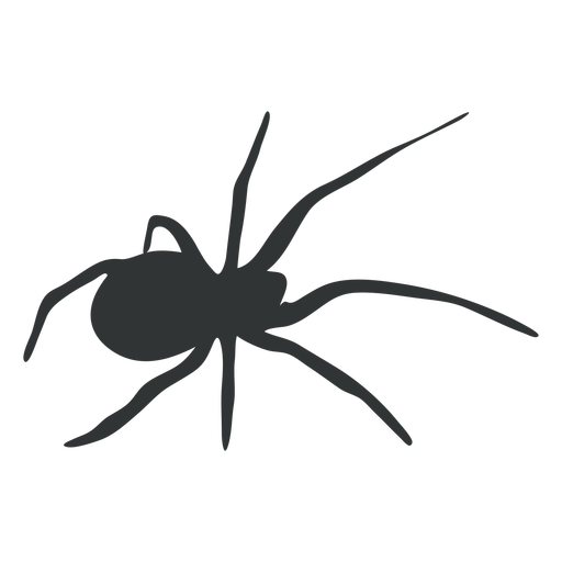 Silhueta de aranha de oito pernas Desenho PNG