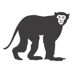Linha Preta Macaco Animal Stick Figura PNG , Desenhos Animados De