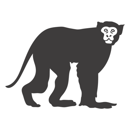 Design PNG E SVG De Ilustração De Ramo De Cauda De Macaco-prego Para  Camisetas