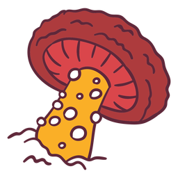 Ilustração de fungo cogumelo Desenho PNG