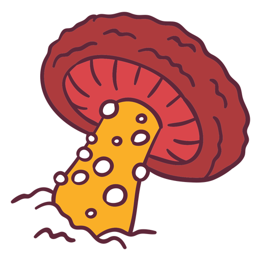 Toadstool fungus illustration