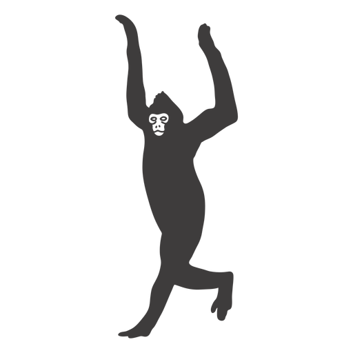 Animal macaco ambulante Desenho PNG