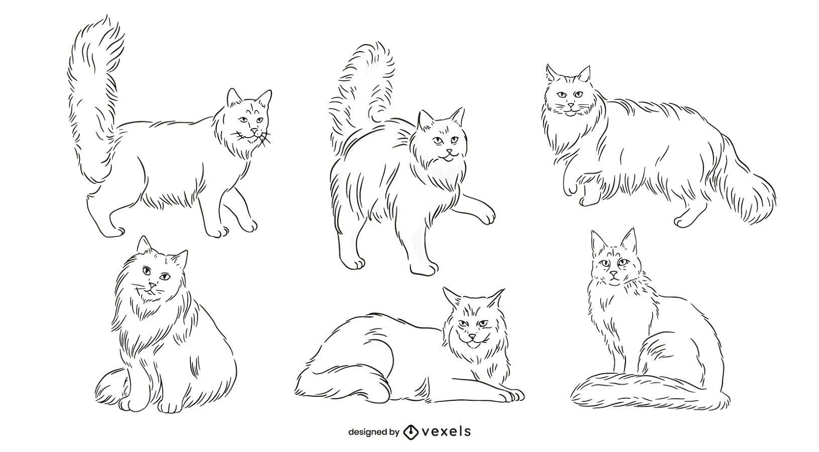 Paquete de gatos Maine Coon dibujados a mano