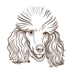 Poodle Dog Hand Drawn PNG & SVG Design For T-Shirts